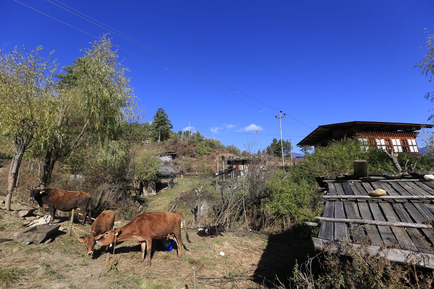 Farmstay Retreats